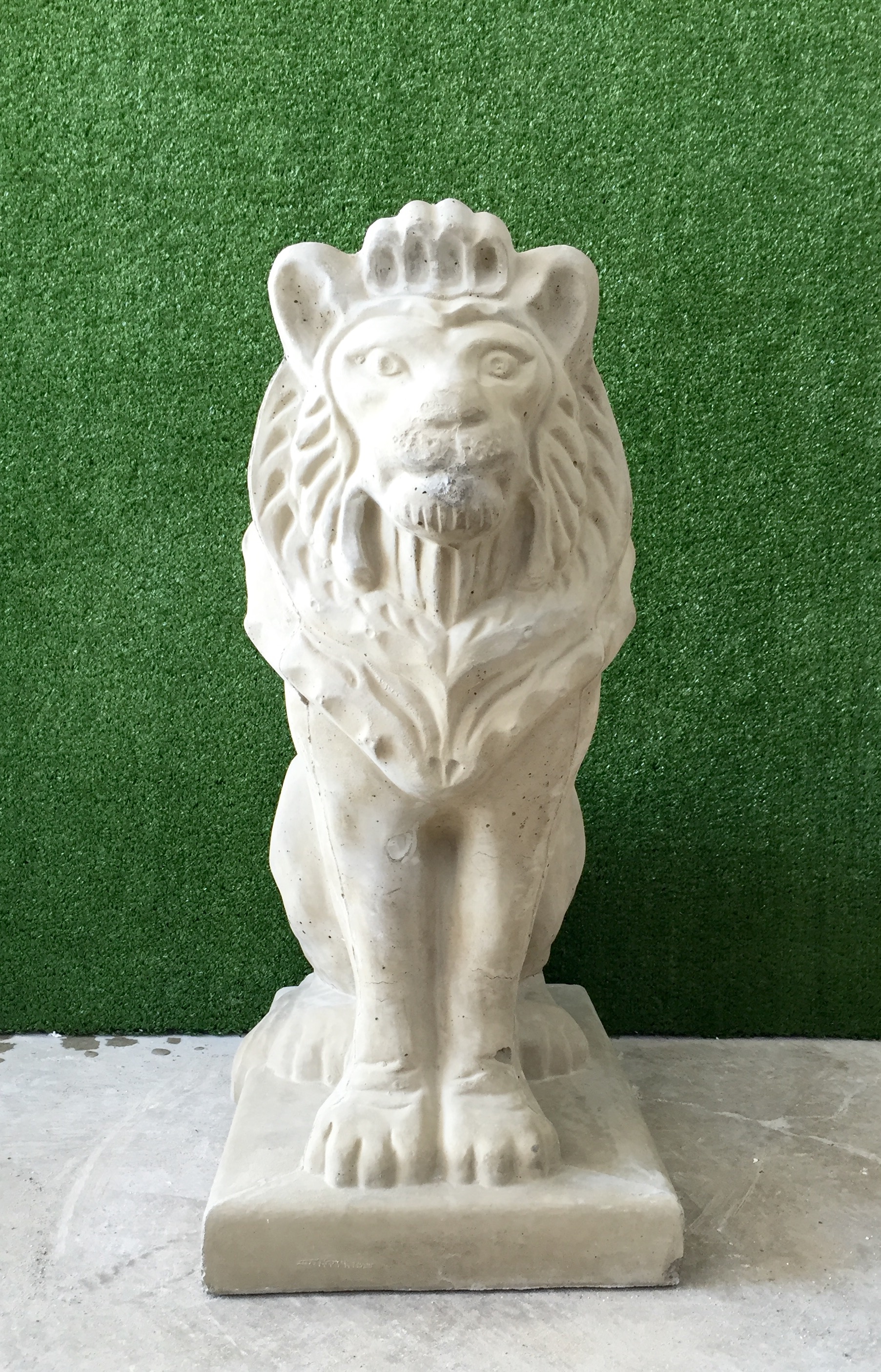 Sitting Lion